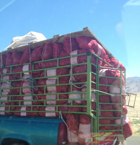 Truck free of green chili – only in New Mexico